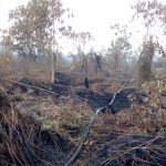 Dalam Sepekan terdapat 519 Hotspot di Kalimantan Barat, Tertinggi Sambas