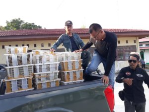 Gakkum KLHK Gagalkan Perdagangan Ilegal di Jalan Lintas Sumatera