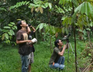 Arboretum untuk Nafas Sebuah Kota