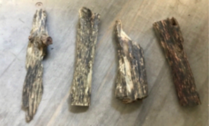 Tim Gabungan Lantamal IX Ambon dan KLHK Amankan Kayu Gaharu 1.950 kg Tanpa Dokumen Resmi di Ambon, Maluku