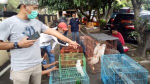 Gakkum KLHK Sita 125 Satwa Dilindungi, Satu Pelaku Diamankan