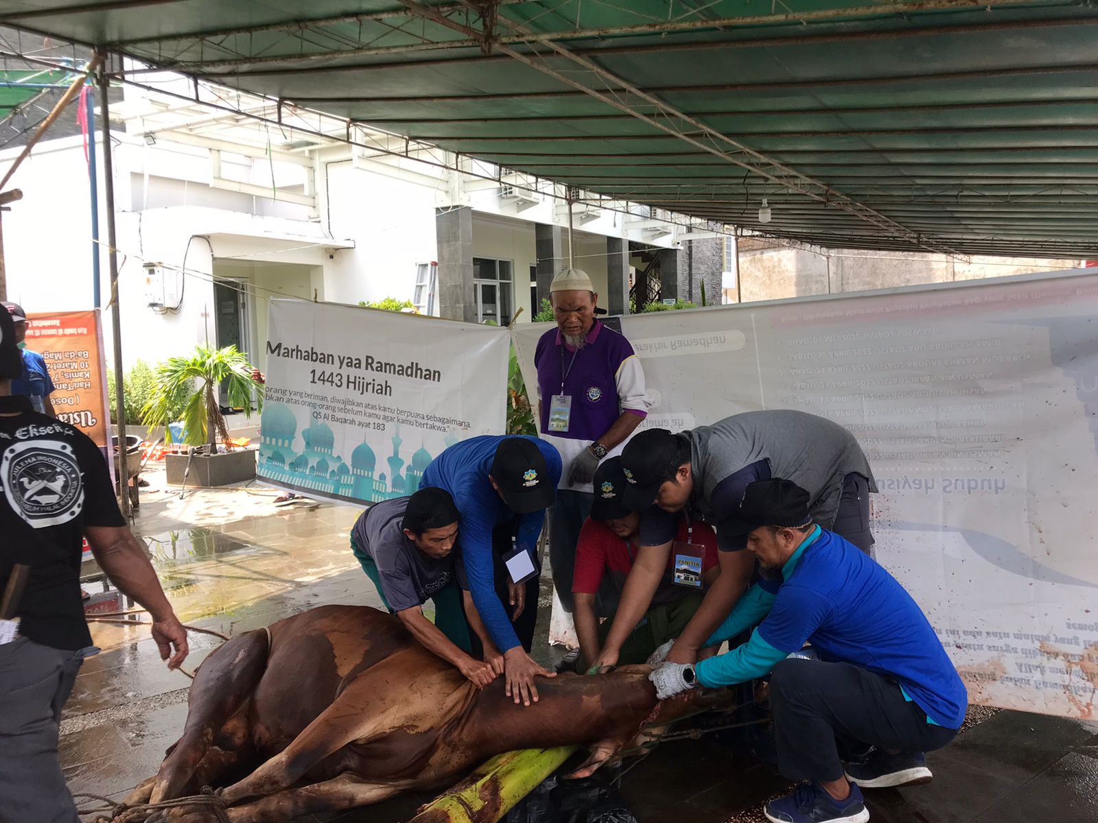 Penyembelihan hewan kurban di Masjid Al Mukhlishin Pontianak