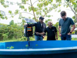 Indosat dan GSMA Berkolaborasi dalam Program Digitalisasi Konservasi Mangrove di Kalimantan Utara
