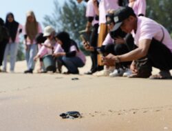 Dukung Konservasi Penyu, Srikandi Ganjar Lepas Tukik dan Bersih-bersih Pantai