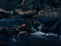 Masyarakat Desa Sepakat Jaya, Kecamatan Nanga Tayap, Ingin Manfaatkan Sumber Mata Air Mereka