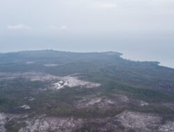 Eksplorasi Pulau Gelam Terindikasi Demam Rempang
