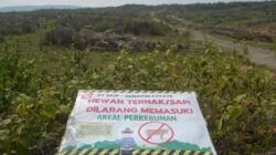 Kebun Sawit Sinarmas Diduga Caplok Cagar Alam Teluk Kelumpang Kalimantan Selatan
