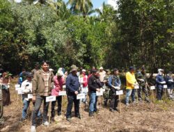 Rayakan Hari Mangrove Internasional, Yayasan Mangrove Lestari Adakan Gerakan Pesisir Hijau