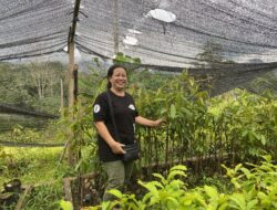 Aksi Perempuan Tae Jaga Hutan Adat