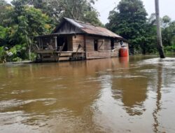 BMKG Kalbar Ingatkan Potensi Hujan Lebat dan Pasang Maksimum Tanggal 7–9 Desember 2025