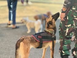 Dog’s Day Out: Edukasi Rabies Pada Pencinta Anjing Pontianak
