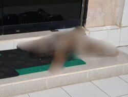 Dilaporkan Hilang, Balita Ditemukan Tewas Mengenaskan
