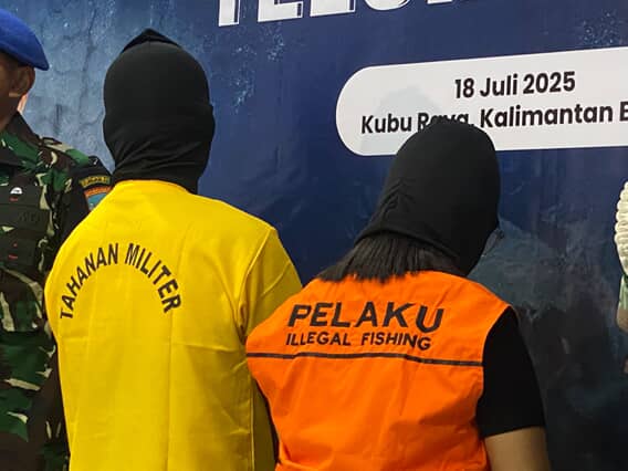 Pelaku penjual telur penyu