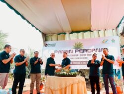 Komitmen Dukung Asta Cita, Holding Perkebunan Nusantara Pacu Produktivitas Sawit Hingga 7 Ton per Hektare