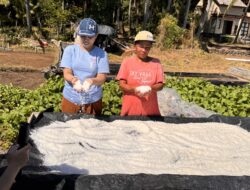 Capacity Building BI Kalbar Kupas AI dan Pesona Garam Les