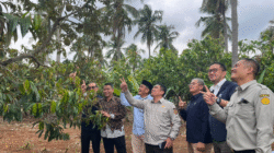 Holding Perkebunan Nusantara Dukung Hilirisasi, PTPN I Regional 7 Siap Jalankan Mandat