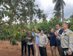 Holding Perkebunan Nusantara Dukung Hilirisasi, PTPN I Regional 7 Siap Jalankan Mandat