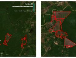 Mayasopa, Hutan yang Perlahan Hilang