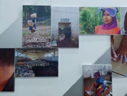 Dari Racun Kimia hingga Diskriminasi Upah, Beginilah Nasib Buruh Sawit Perempuan