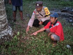 Warga Kubu Raya Geger Temuan Bayi Hidup di Bawah Pohon Kelapa