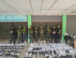 Operasi Jagoi Babang Ungkap Penyelundupan Tanaman Langka dan Aksesoris Satwa Dilindungi