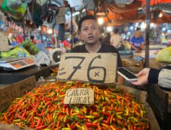 Harga Cabai di Pontianak Melonjak hingga Rp76 Ribu Imbas Banjir