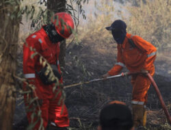 BPBD Duga Pembakaran Lahan Disengaja
