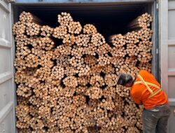 Bea Cukai Gagalkan Ekspor 58,3 Ton Rotan Ilegal di Pelabuhan Dwikora Pontianak