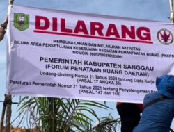 Teraju Desak Sanksi Tegas PT CUT atas Dugaan Deforestasi 60 Hektare di Sanggau