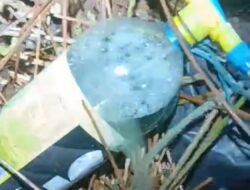 BPBD Temukan Bukti Bensin dan Karung untuk Membakar Lahan