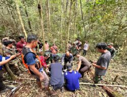 Evakuasi Bangkai Pesawat Pelita Air di Kalimantan Utara Libatkan Basarnas dan TNI-Polri