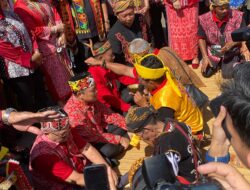 Ngalu, Prosesi Sambut Tamu Besar Tradisi Khas Dayak Simpakng dari Ketapang