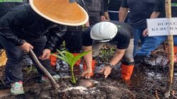 Kubu Raya Dorong Warga Batu Ampar Beralih dari Arang Bakau ke Kelapa Genjah