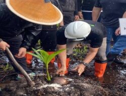 Kubu Raya Dorong Warga Batu Ampar Beralih dari Arang Bakau ke Kelapa Genjah