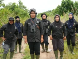Srikandi Bekantan Jaga Hutan, Berani Hadapi Pemburu