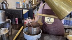 5 Cara Mengolah Ampas Kopi Jadi Media Tanam