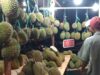 5 Alasan Durian Lokal Sulit Bersaing di Pasar Premium