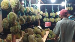 5 Alasan Durian Lokal Sulit Bersaing di Pasar Premium