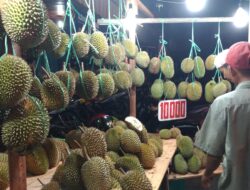5 Alasan Durian Lokal Sulit Bersaing di Pasar Premium