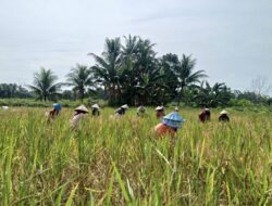 5 Peran Perempuan dalam Menjaga Ketahanan Pangan
