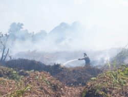 Karhutla Terjadi di Dekat Pusat Rehabilitasi Orangutan YIARI