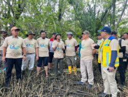 Ban Bekas Disulap Jadi Pelindung 10 Ribu Bibit Mangrove di Kubu Raya