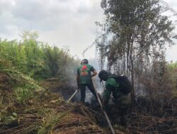 Kebakaran Lahan Landa Perbatasan Rasau Jaya Umum dan Kuala Dua Kubu Raya