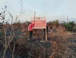 Antisipasi El Niño, Kemenhut Periksa Empat PBPH di Kalbar