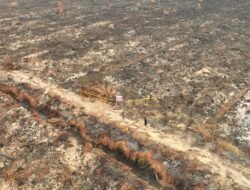 1.500 Hektare Lahan Terbakar, KLH Segel Perusahaan di Ketapang