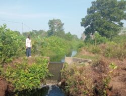 Saat Gambut di Pontianak Terbakar di Titik yang Sama