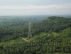 Akar Konflik Plasma di Sanggau: Tanah, Utang, dan Ketimpangan Kendali